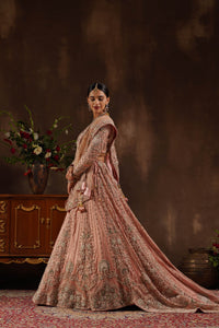 Blush Pink Blouse With Lehenga Trail