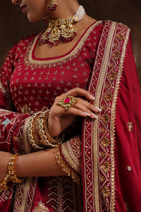 Red Lehenga & Blouse set