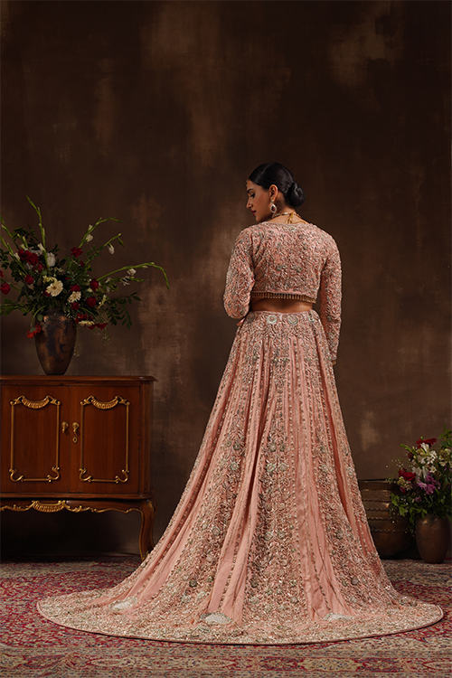 Blush Pink Blouse With Lehenga Trail