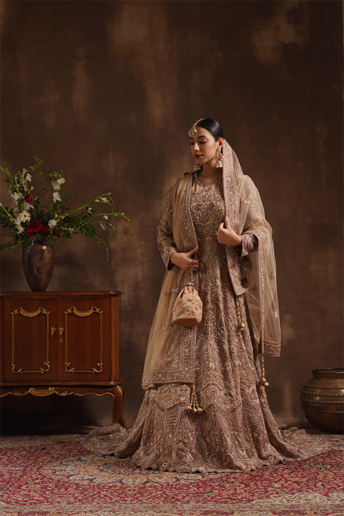 Coffee-Hued Gown with Trail